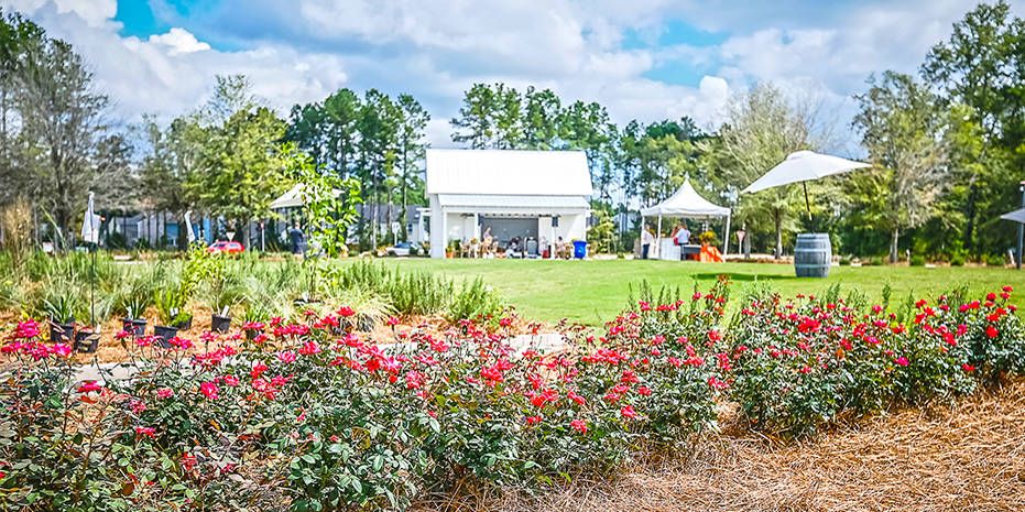 Outdoor Park in the North Charleston Neighborhood of Summerville