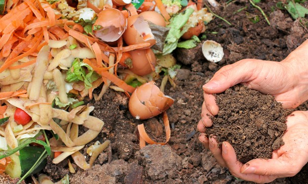 A Community in a garden, gardening in Summerville