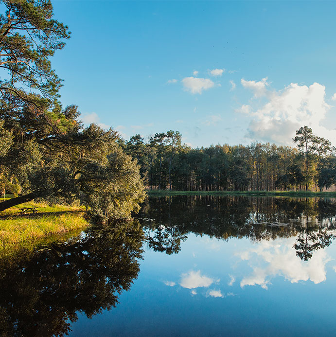 Summerville SC Lake