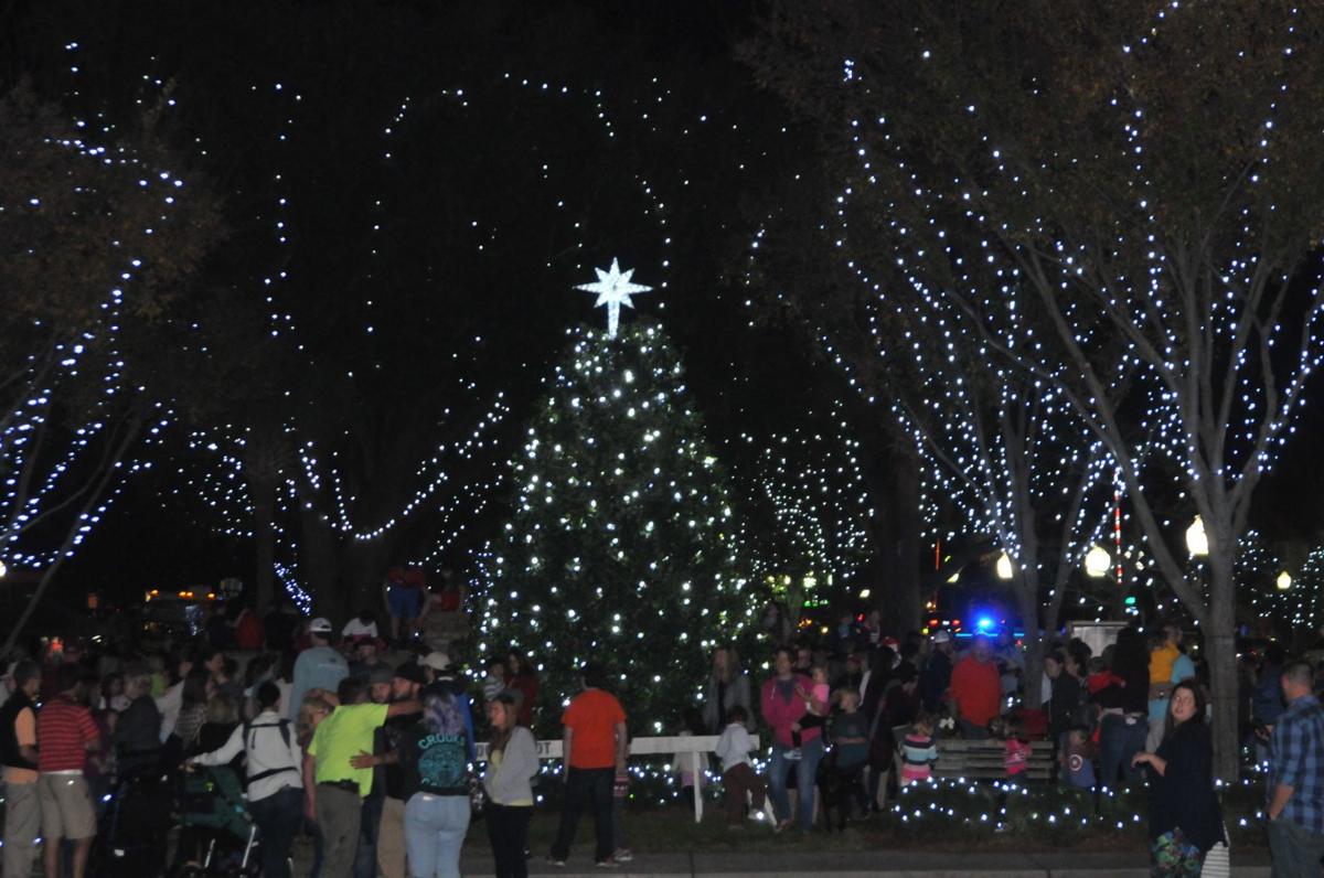 Summerville Christmas Tree Lighting 2024 Anny Malina