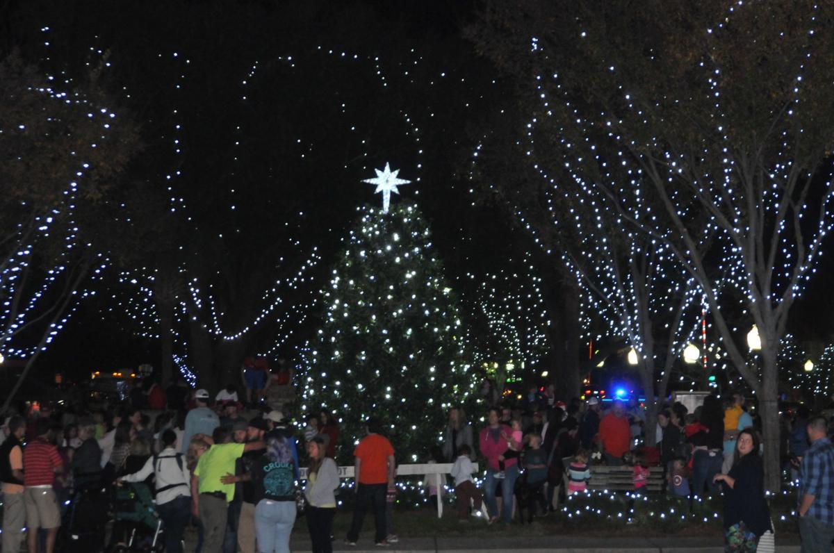 charleston sc tree lighting