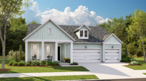 Camellia, New Homes in Summerville